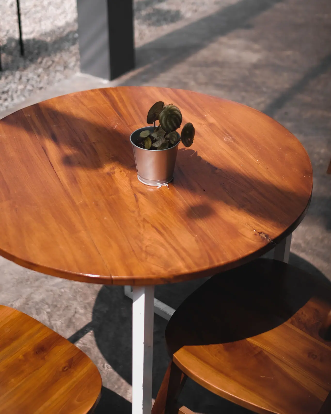 Petites tables rondes en bois poli en plein air, avec une petite plante grasse en pot